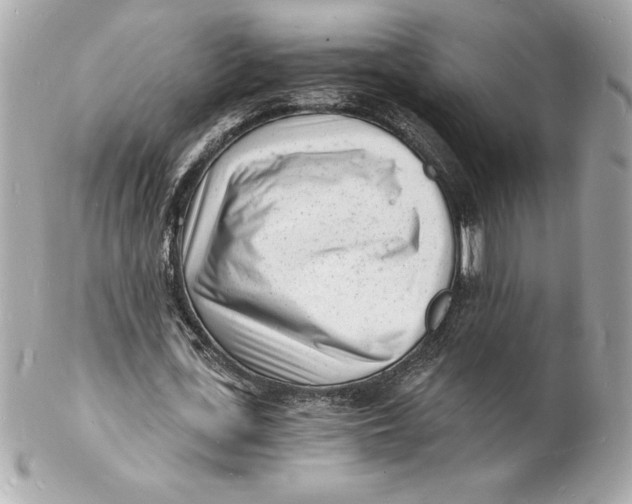 X0000102220723200808151704