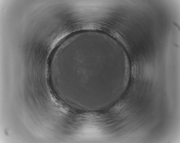 X0000102220724200808151704