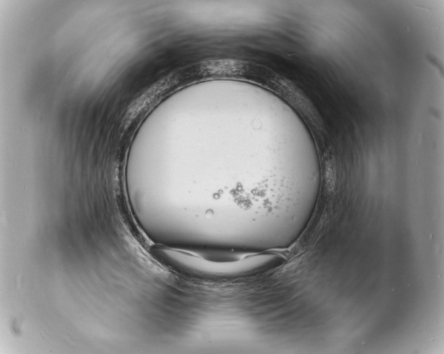 X0000102220725200808151705