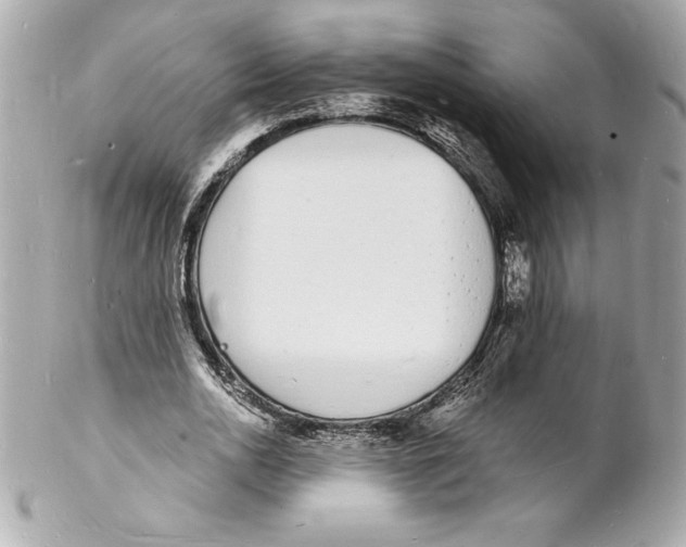 X0000102220726200808151705