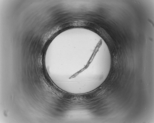 X0000102220727200808151705