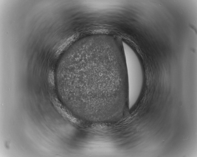 X0000102220729200808151705