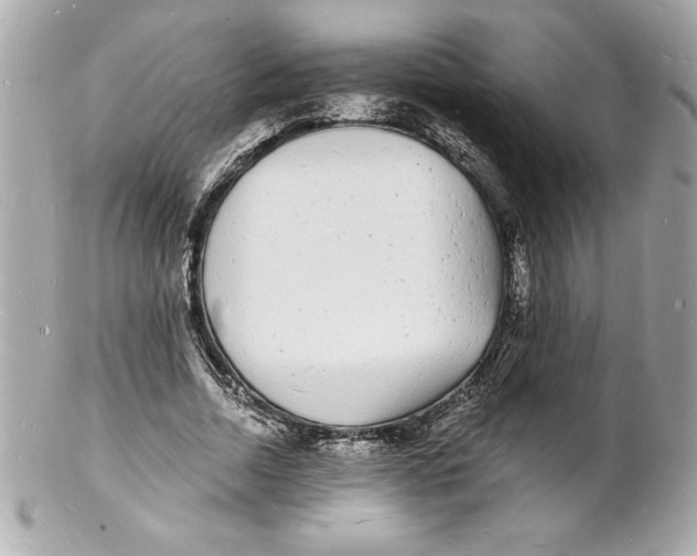 X0000102220730200808151705