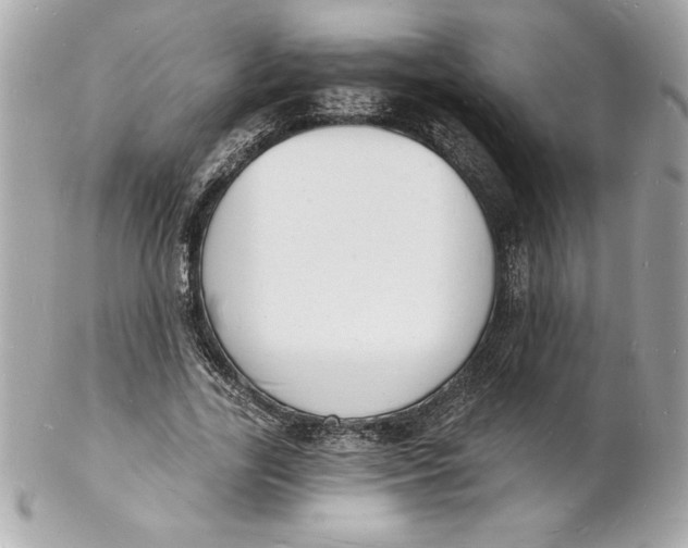 X0000102220731200808151705