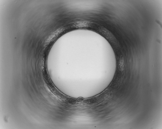 X0000102220732200808151705