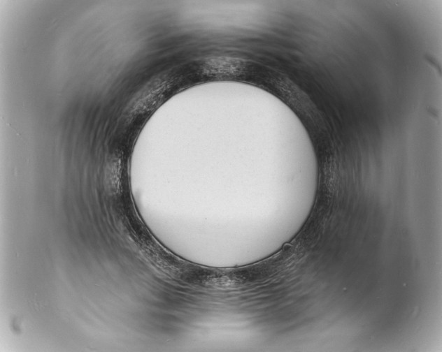 X0000102220735200808151705