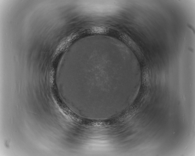 X0000102220736200808151705