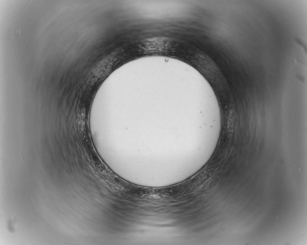 X0000102220737200808151705