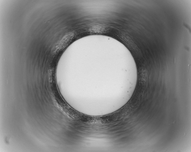 X0000102220738200808151705