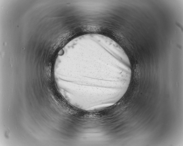 X0000102220739200808151705