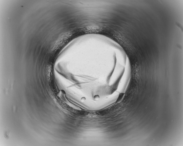 X0000102220742200808151705