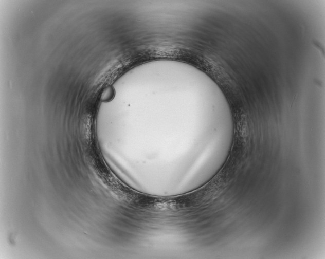 X0000102220744200808151705