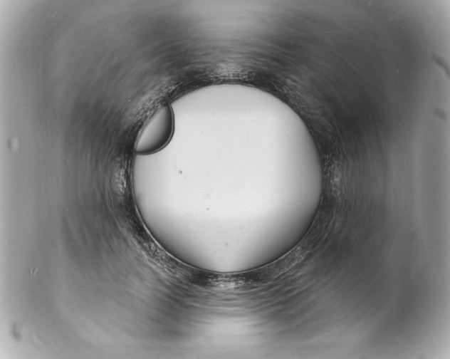 X0000102220746200808151705