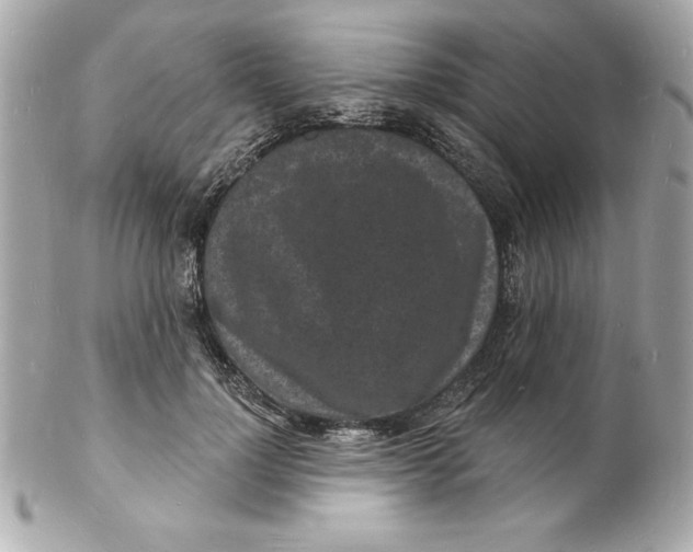 X0000102220748200808151705