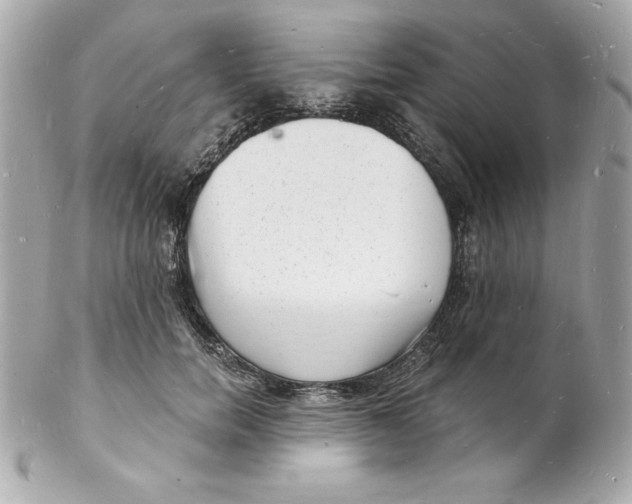 X0000102220750200808151705