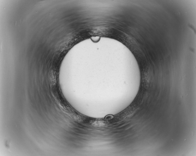 X0000102220751200808151705