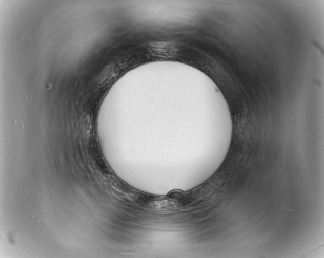 X0000102220752200808151705