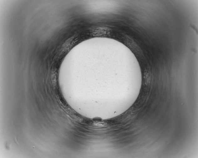 X0000102220753200808151705