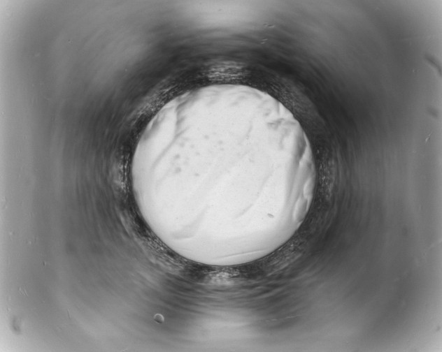 X0000102220755200808151705