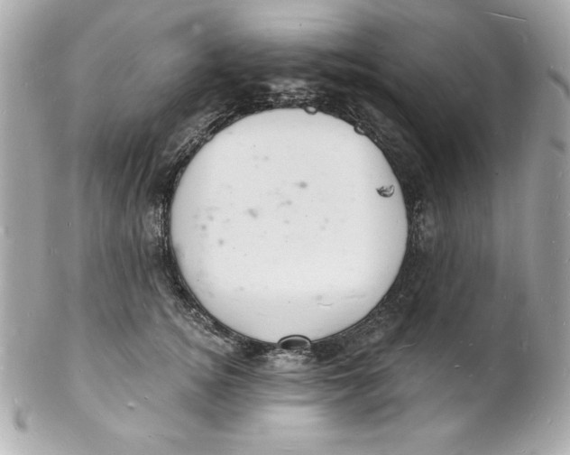 X0000102220756200808151705