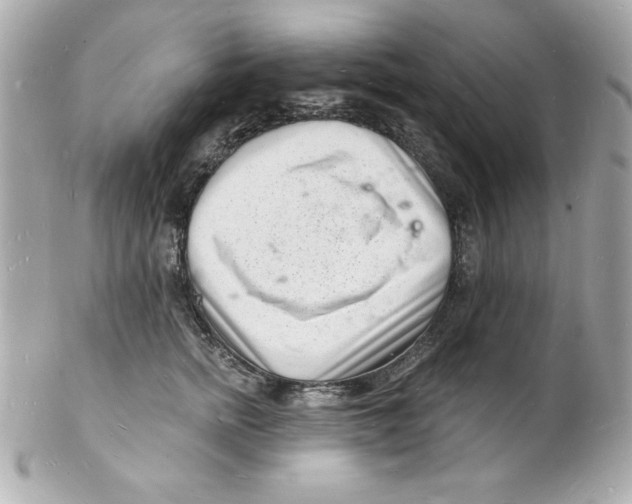 X0000102220758200808151705