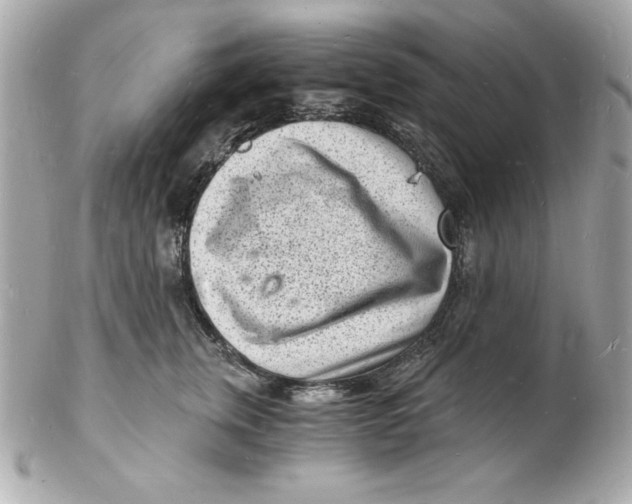 X0000102220759200808151705