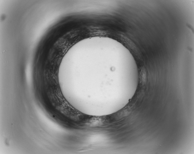 X0000102220764200808151705