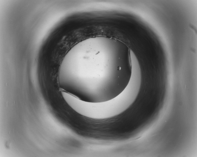 X0000102220766200808151705