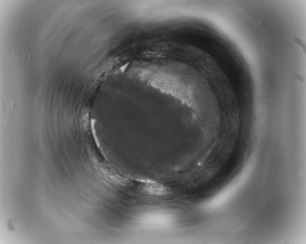 X0000102220767200808151705