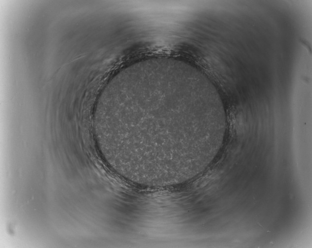 X0000102220769200808151704