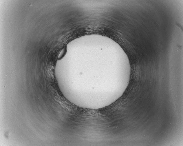 X0000102220770200808151704