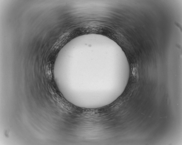 X0000102220771200808151704