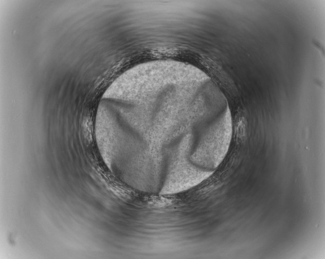 X0000102220772200808151704