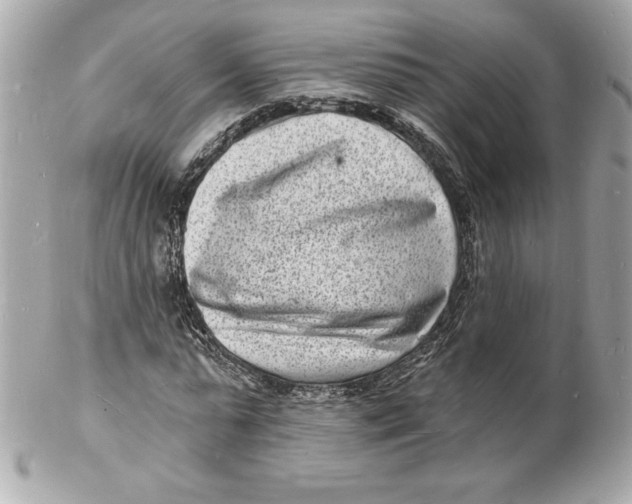 X0000102220775200808151704