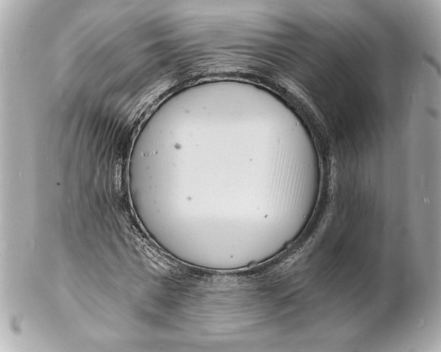 X0000102220777200808151704