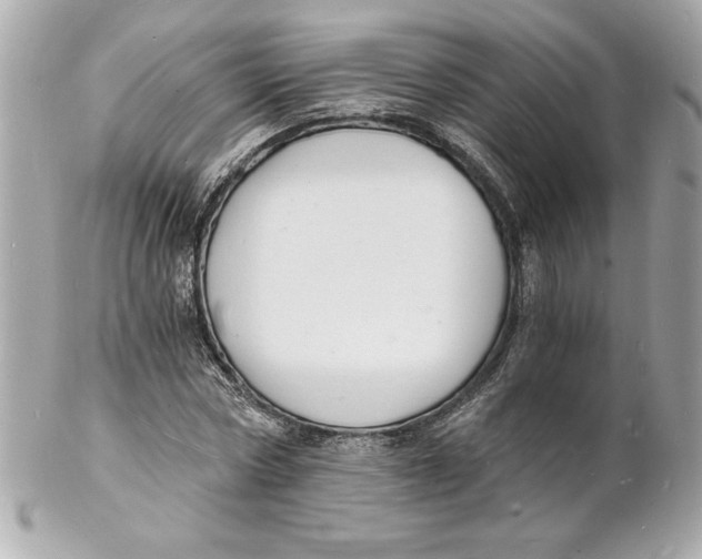 X0000102220778200808151704