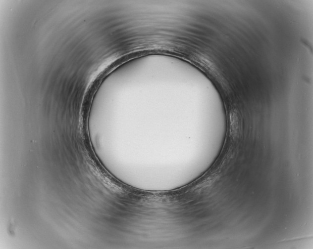 X0000102220780200808151704