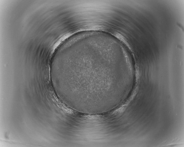 X0000102220781200808151704