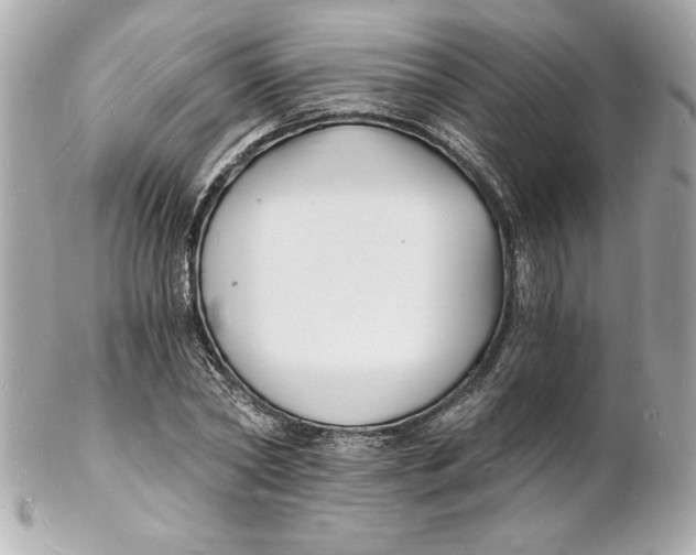 X0000102220782200808151704