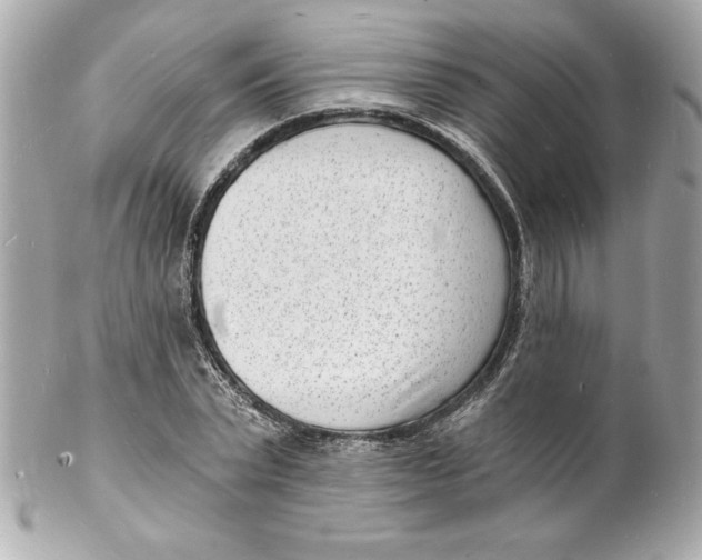 X0000102220783200808151704