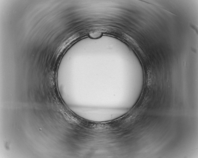 X0000102220786200808151704