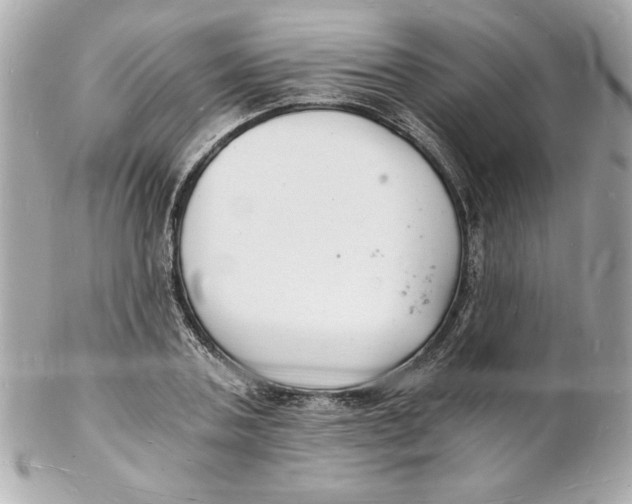 X0000102220787200808151704