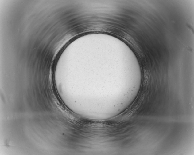 X0000102220788200808151704