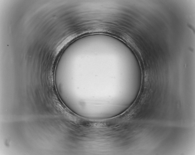 X0000102220789200808151704