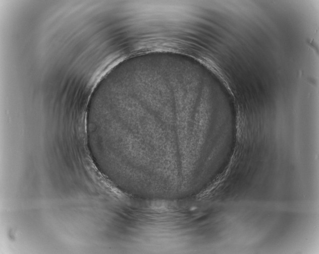 X0000102220790200808151704