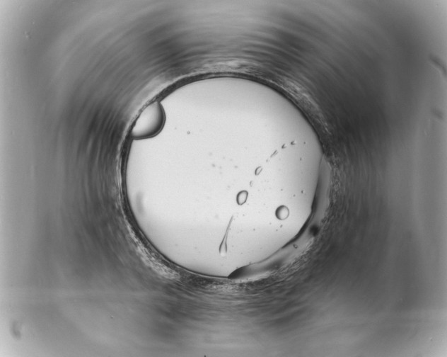 X0000102220792200808151704