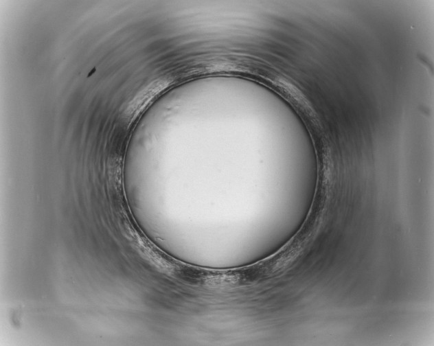 X0000102220793200808151704