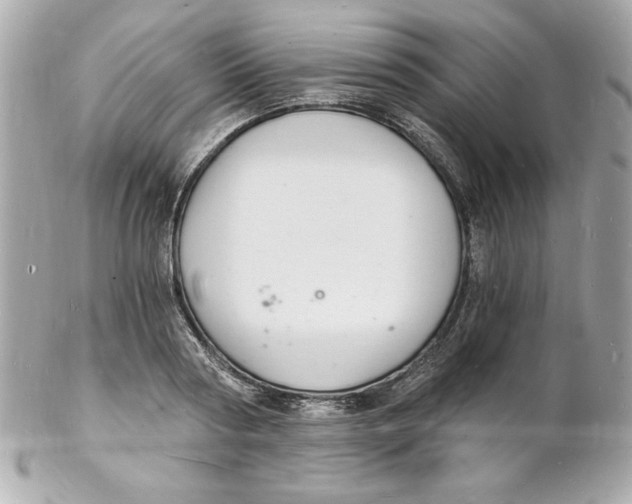 X0000102220794200808151704