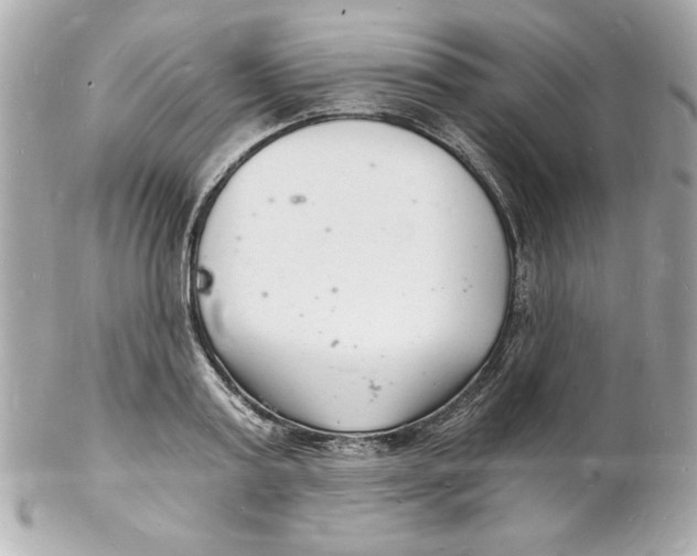 X0000102220795200808151704