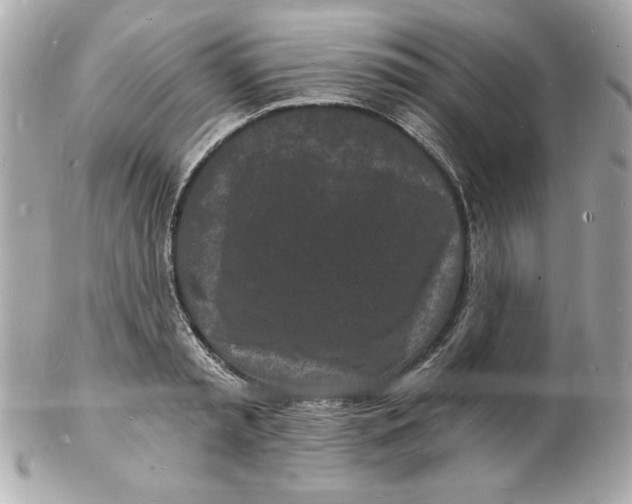 X0000102220797200808151704